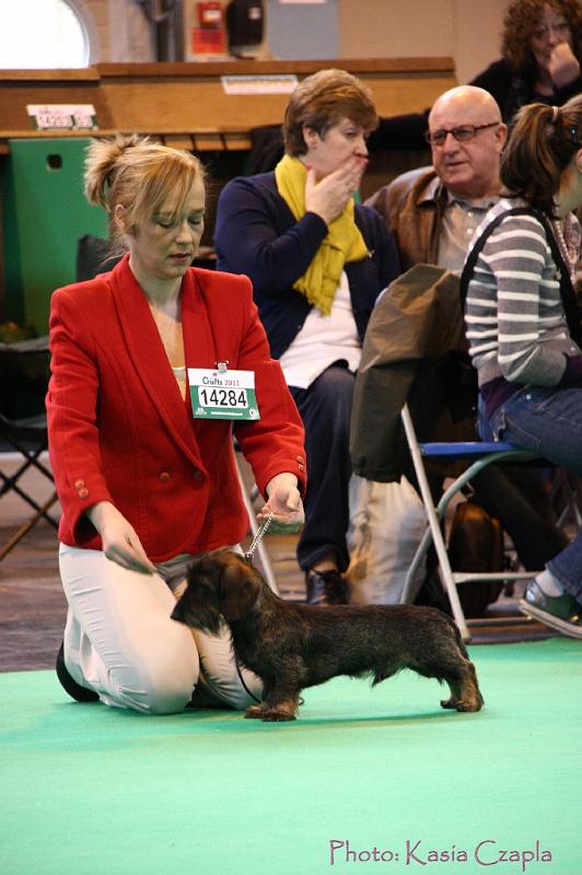 Crufts2011_2 468.jpg